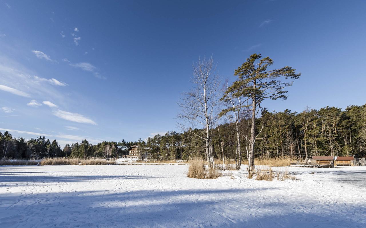 Hotel Waldsee ฟีแอ ภายนอก รูปภาพ
